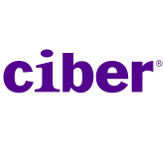 Ciber Nederland